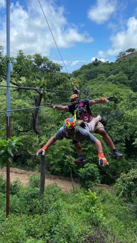 ca3013df-bc41-44df-a075-0dbf6747ea49